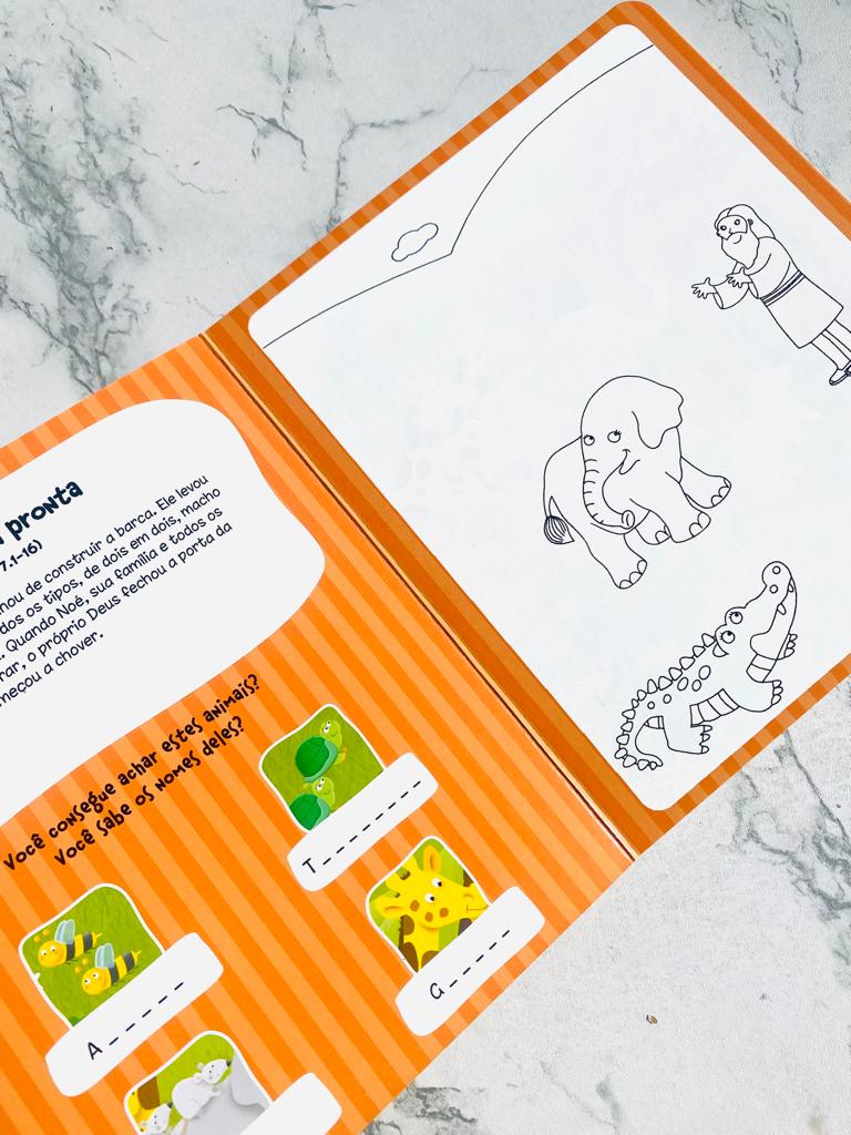 Livro Infantil Capa Dura Para Pintar Com Água - A Barde de Noé - PRONTA ENTREGA